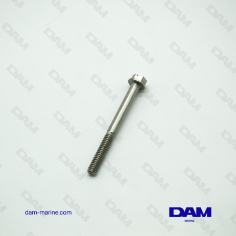 BRP OMC V4* SCREW