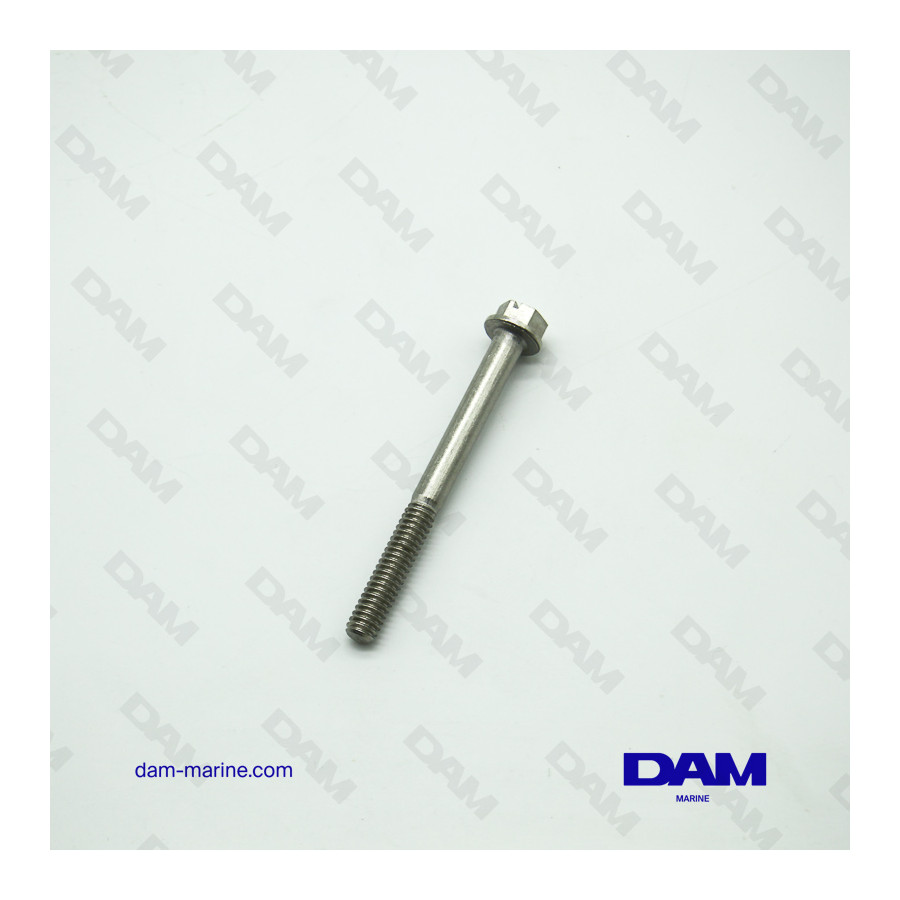 BRP OMC V4* SCREW