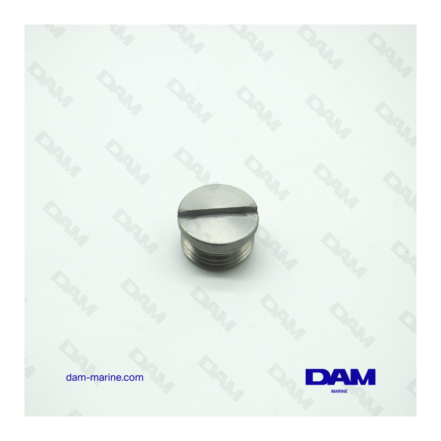 BRP OMC DRAIN PLUG *
