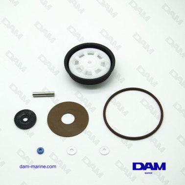 VRO PETROL MEMBRANE KIT OEM BRP OMC *