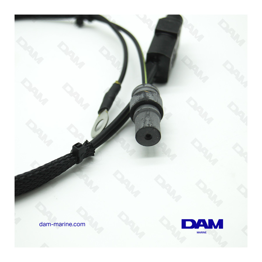BRP OMC HB* PROBE