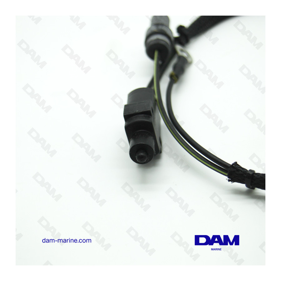 BRP OMC HB* PROBE