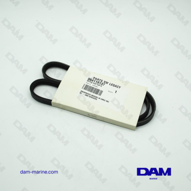 SERPENTINE BELT PUMP...