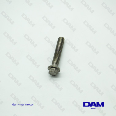BRP OMC SCREWS *