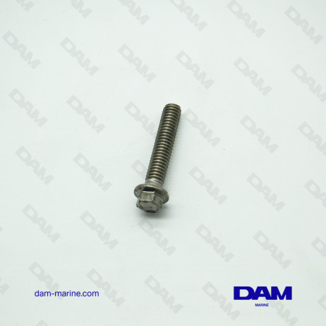 BRP OMC SCREWS *