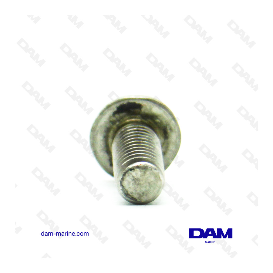 TORNILLO DE ÁNOD SUZUKI 6X14MM