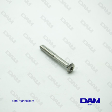 BRP OMC SCREWS *
