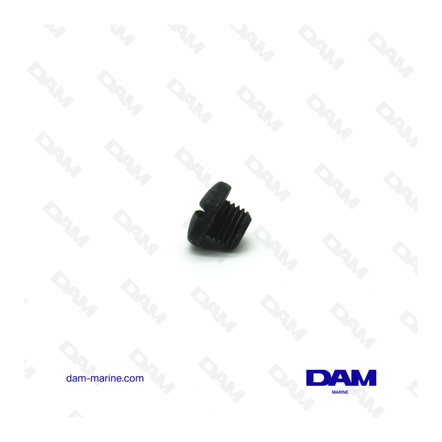SUZUKI DRAIN PLUG
