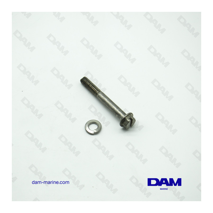 BRP OMC BASE SCREW *