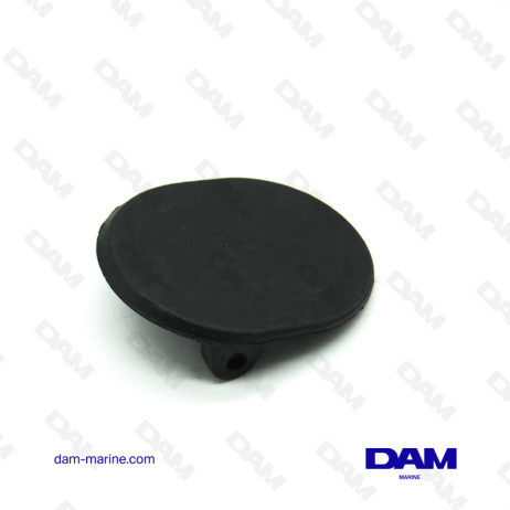 CLAPET DE CORNE BRP OMC GM*