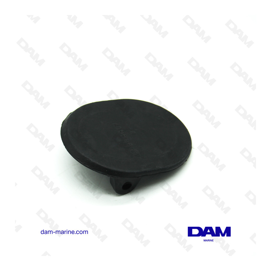 BRP OMC PM* HORN VALVE