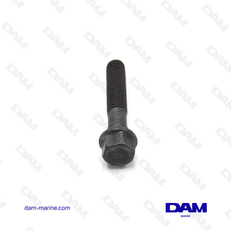 GM OIL PUMP SCREW