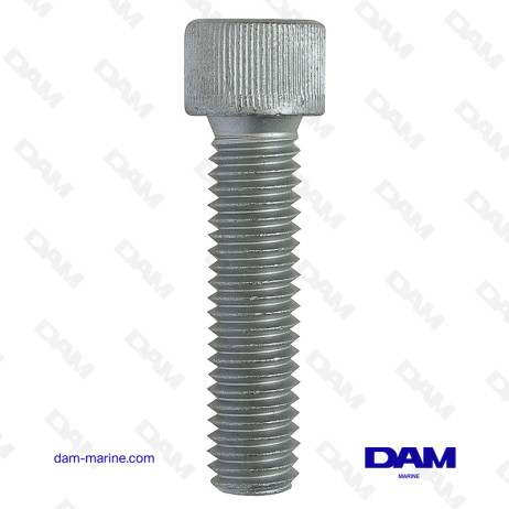 BTR ANODE DERIVED SCREW