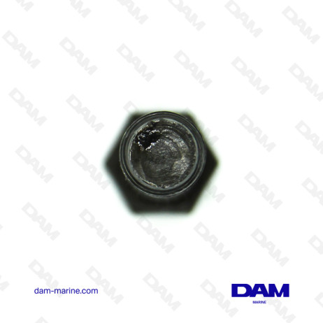 GM181 - GM250 CYLINDER HEAD SCREW