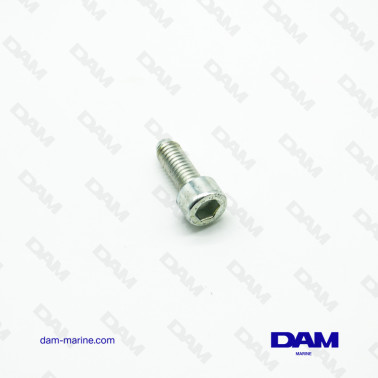 TORNILLO DE CUBIERTA DE...