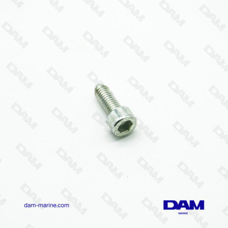 MERCRUISER EXCHANGE COVER SCREW