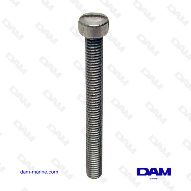 STRAINER SCREW
