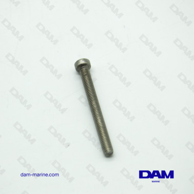 STRAINER SCREW