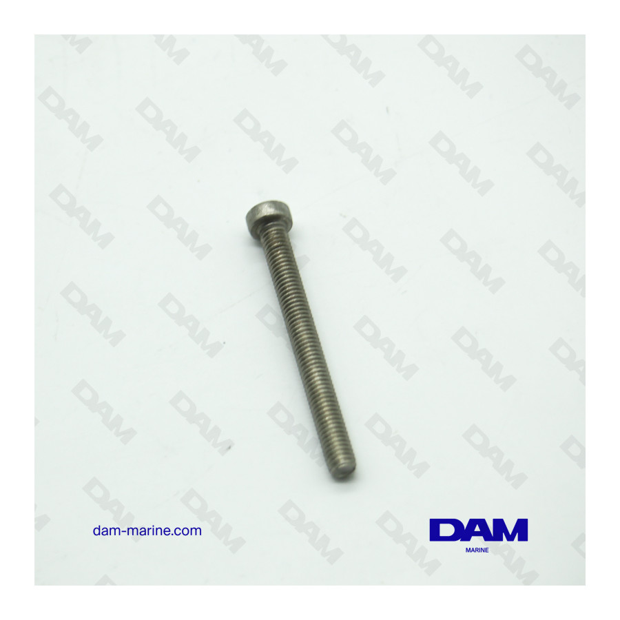 STRAINER SCREW