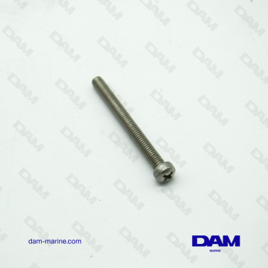 STRAINER SCREW