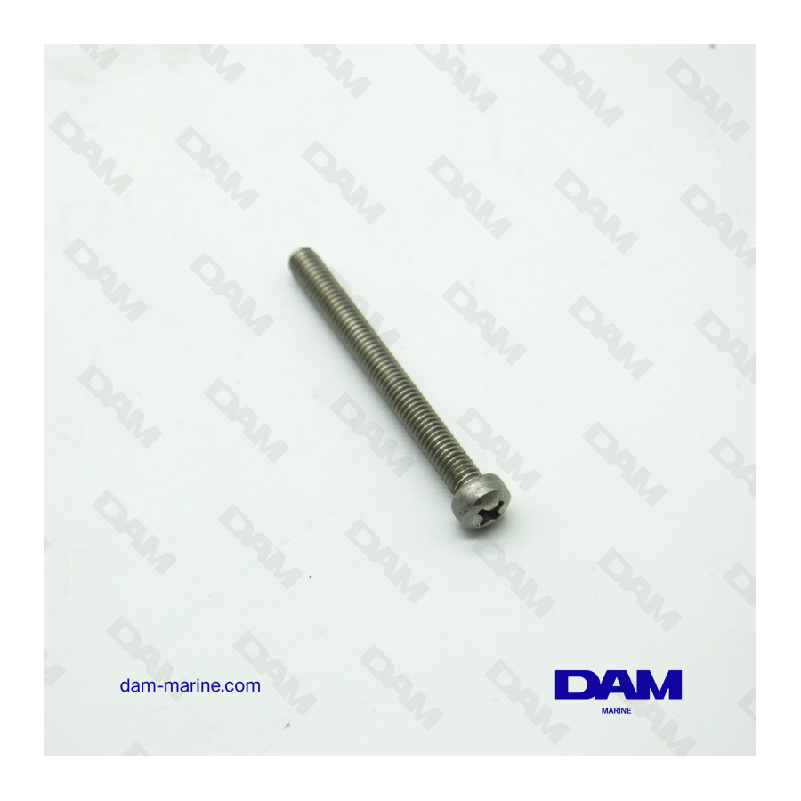 STRAINER SCREW
