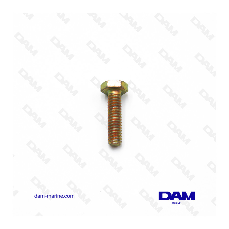 MERCURY SCREW 1/4-20 X 1