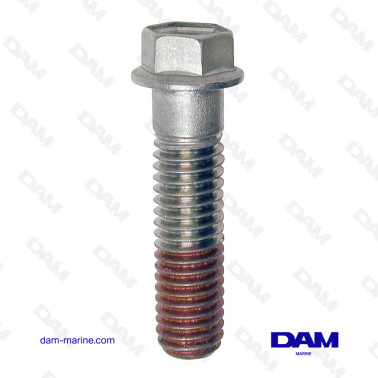 DERIVATIVE ANODE SCREW...
