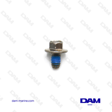 M6X10 SCREW