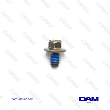 M6X10 SCREW