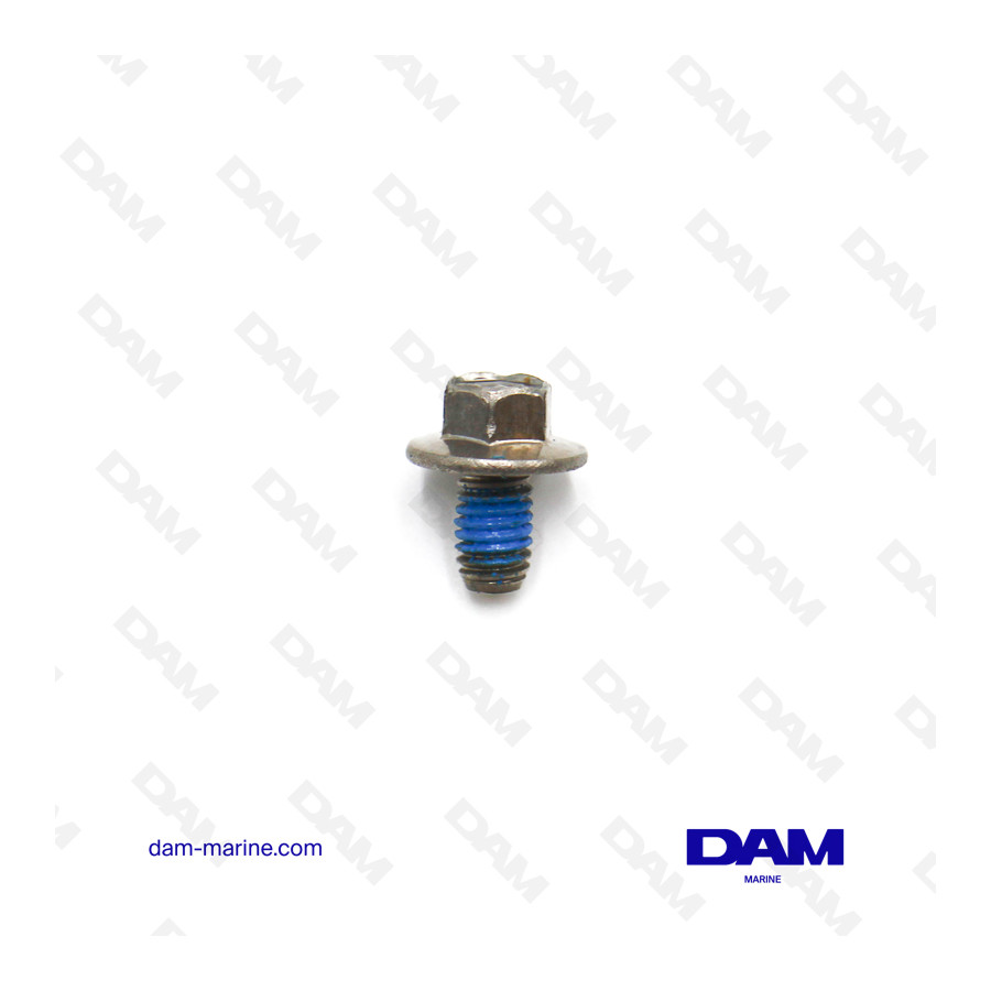 M6X10 SCREW