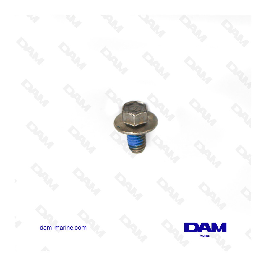 M6X10 SCREW