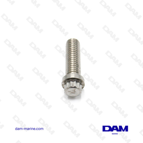 VITE FLANGIATA 3/8-16 X 1-1/4