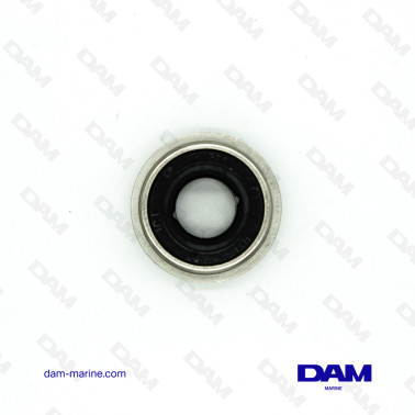 W30109 BRASSAGE PUMP CYCLAM