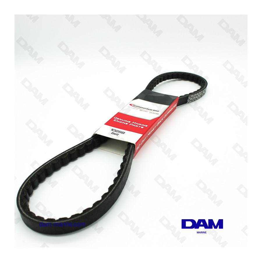 CORREA DE BOMBA DE BB CRUSADER OEM