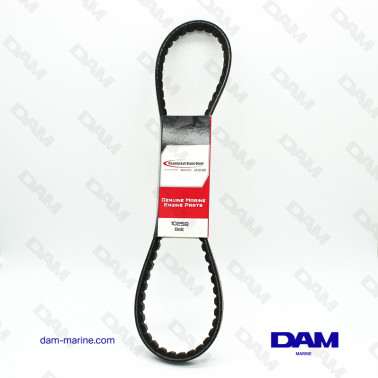 CORREA DE BOMBA DE BB CRUSADER OEM