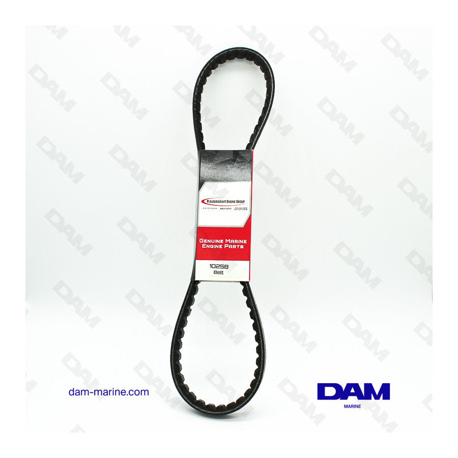 CORREA DE BOMBA DE BB CRUSADER OEM