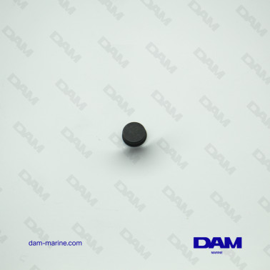 PASTIGLIE VALVOLA YANMAR