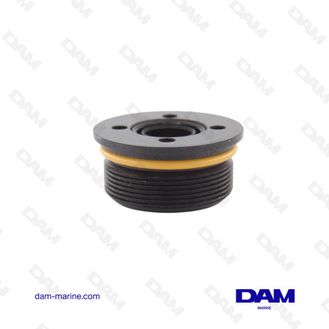 BOUCHON DE VERIN DE TRIM MERCURY