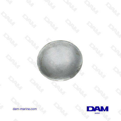 PASTILLE DE DESSABLAGE VOLVO 463905 - 52MM