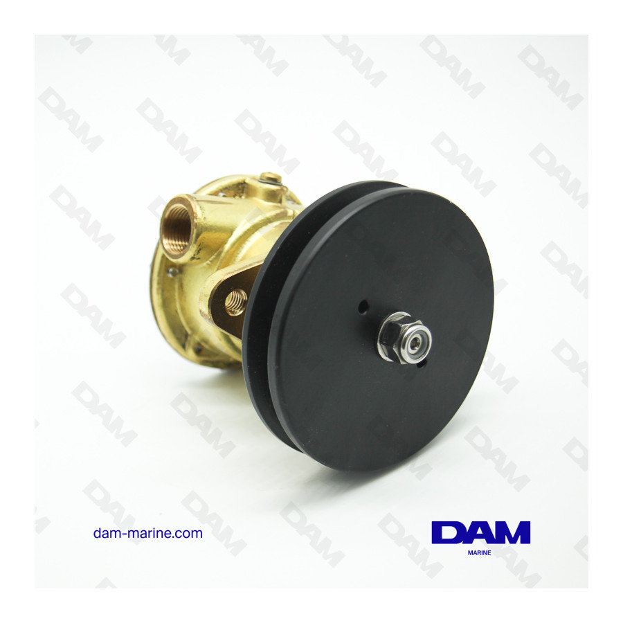 YANMAR 3-2YM SEA WATER PUMP