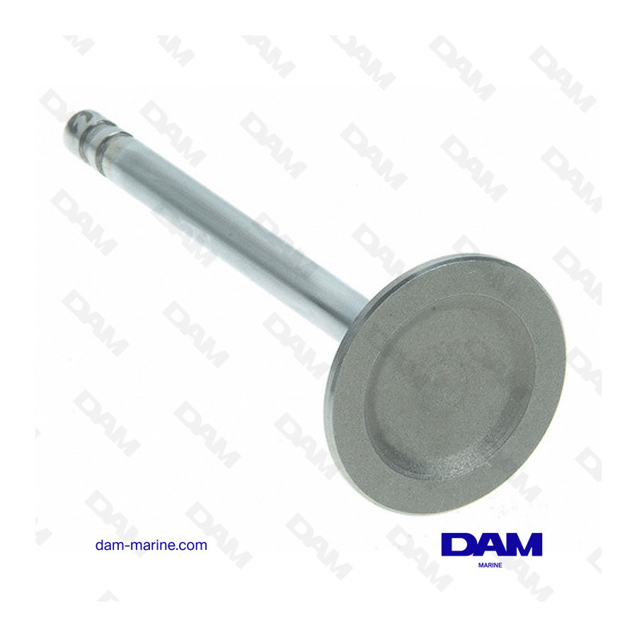 GM153 - GM305 INTAKE VALVE