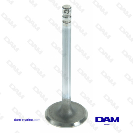 GM153 - GM305 INTAKE VALVE
