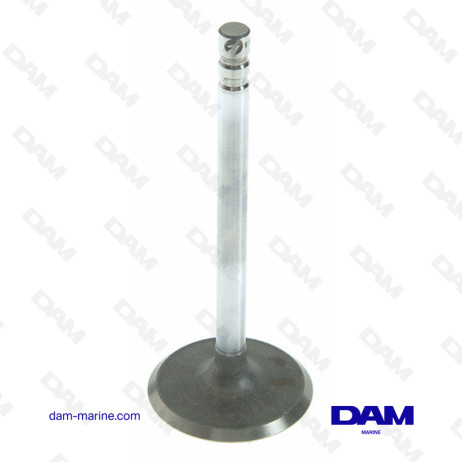 GM INTAKE VALVE