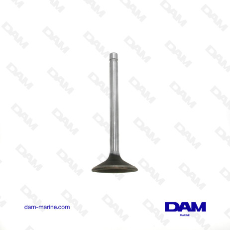 GM231 INTAKE VALVE