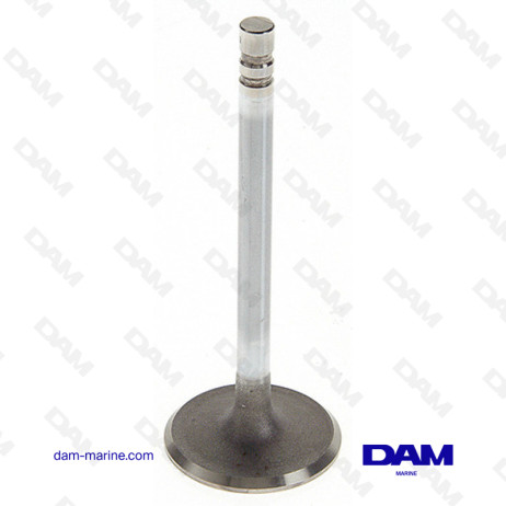 GM229 - GM305 INTAKE VALVE