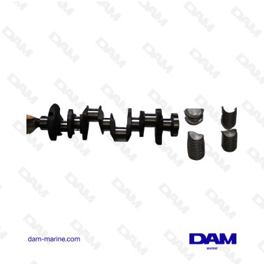 VILEBREQUIN FORD 302 5L - 1PCS