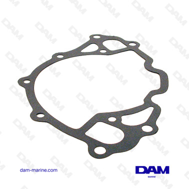 CONJUNTO V8 FORD BRASSAGE POMP