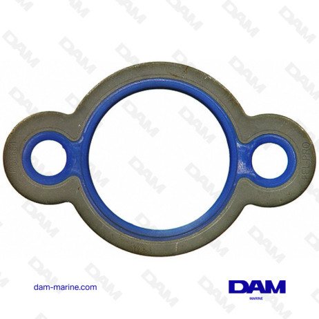 V8 8.1 LITER BREWING PUMP SEAL GM496