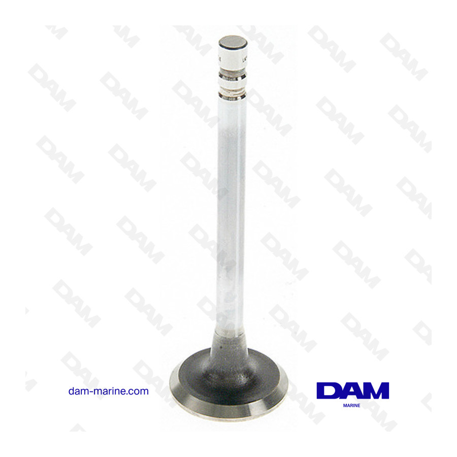 GM EXHAUST VALVE