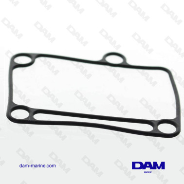 GASOLINE GASKET BRP OMC *